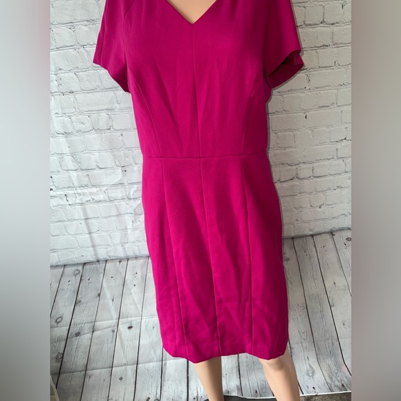 The Limited Dark Pink Sleeveless dress size 10 - Picture 3 of 14